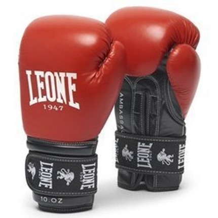 Boxerské rukavice Ambassador - s tvarovaným polstrováním "NO SHOCK"